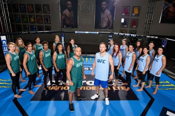 Gaethje x Alvarez