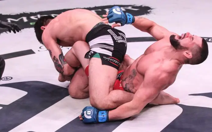 Dillon Danis