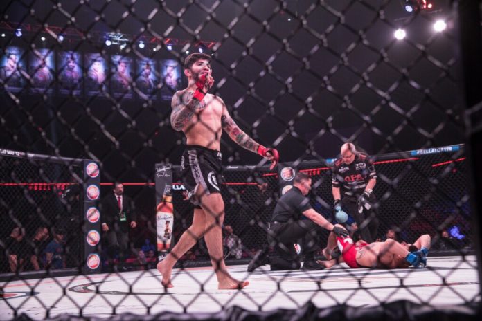 dillondanis