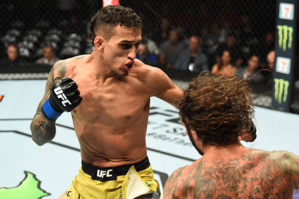 Charles do Bronx celebra 20 lutas pelo UFC no card em São Paulo e elogia rival: ‘Vai ser uma guerra’