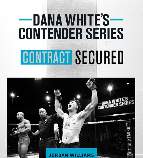 Brasileiro é nocauteado no Contender Series e adia sonho de chegar ao UFC; três lutadores são contratados por Dana White