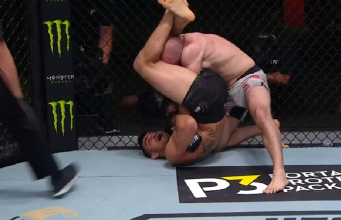 Vídeo: nocaute brutal de Ovince St-Preux e finalizações de brasileiros são destaques no UFC Vegas 9; veja como foi