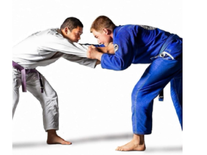 Tudo sobre o jiu jitsu disciplina, Blog Pratique Fitness