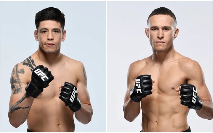 UFC planeja disputa de cinturão interino peso-mosca entre Brandon Moreno e Kai Kara-France; veja