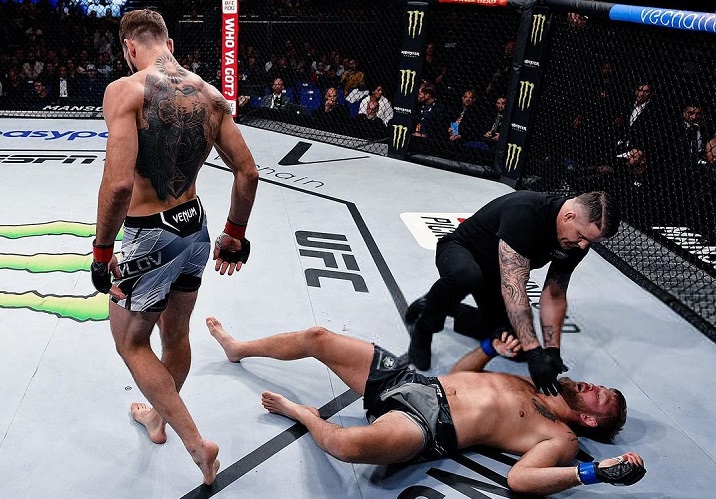 Alexander Gustafsson foi nocauteado por Nikita Krylov no UFC Londres (Foto: Divulgação/UFC)