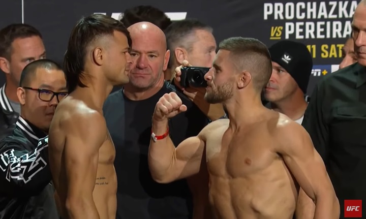 UFC 295: Prochazka x Pereira 