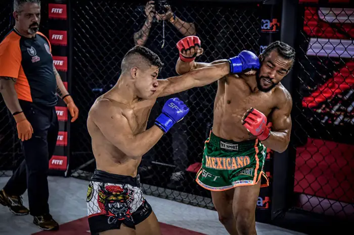 Para fechar o ano, Band TV transmite Clássicos do Combate: do SFT 28 ao UFC no fim de semana