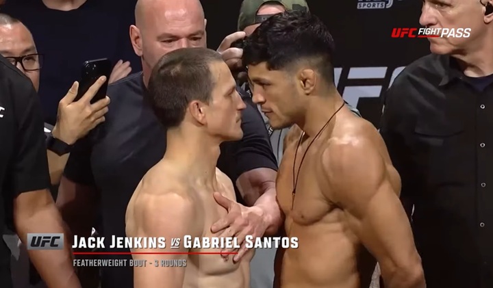 gabriel mosquitinho ufc 312