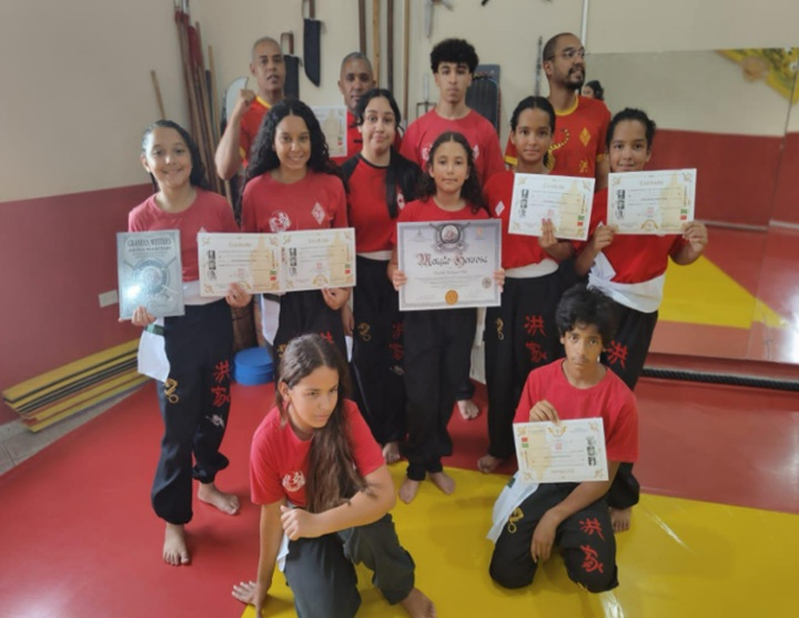 Artigo: o poder do Kung Fu e das demais artes marciais em transformar vidas; veja mais detalhes