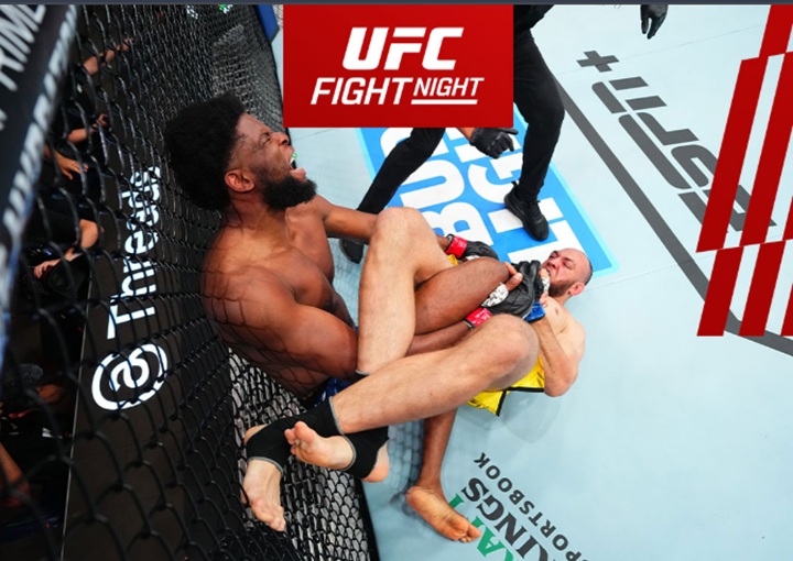 UFC Nashville: após mais uma vitória, Valter Walker fatura R$ 278 mil com ‘Performance da Noite’